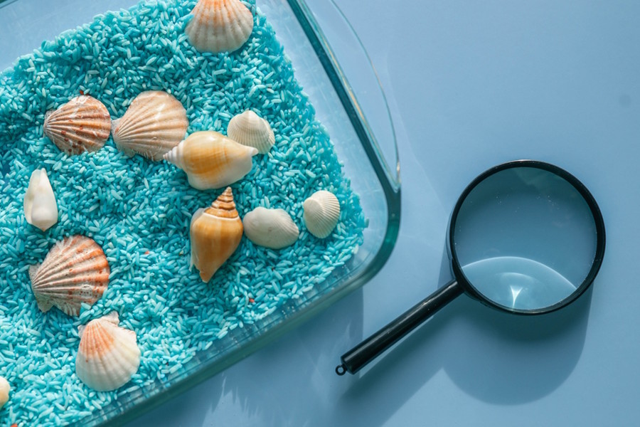 Seashells in blue rice with a magnifying glass 