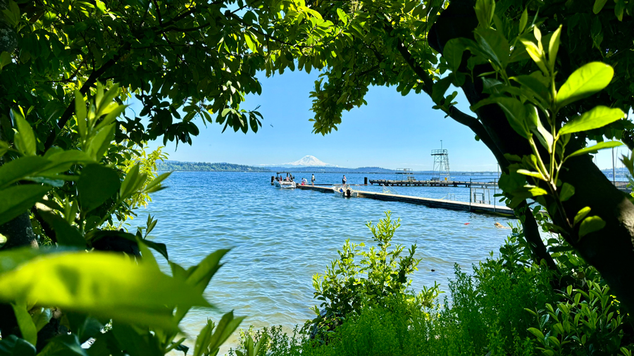 view of Mount Rainier through the trees at the 51st Avenue street end beach