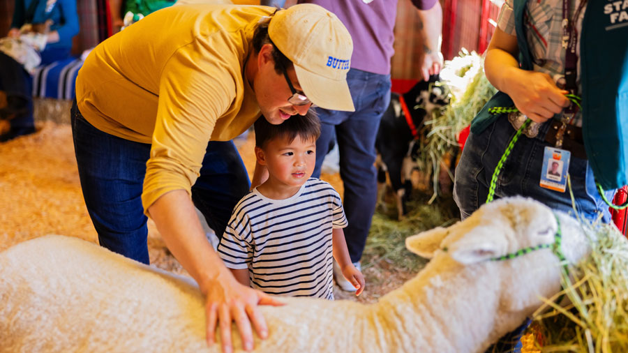 father and son petting a sheep at the Fair Farm, a petting zoo for families to enjoy