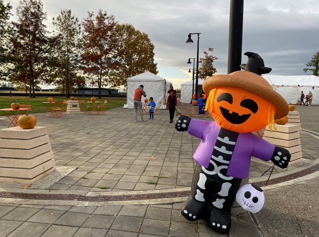 Pumpkins on the Plaza