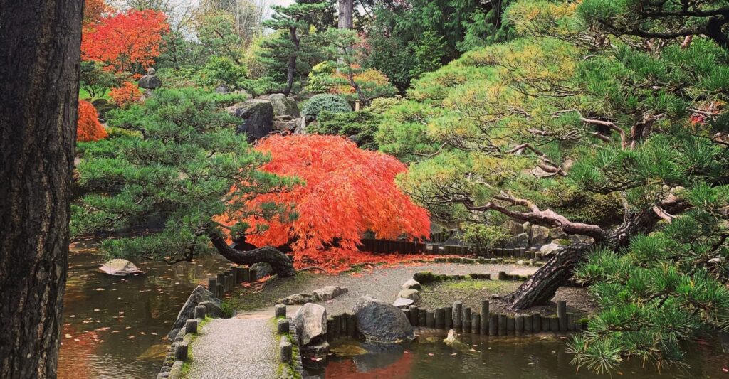 Fall Festival at Highline Botanical Garden