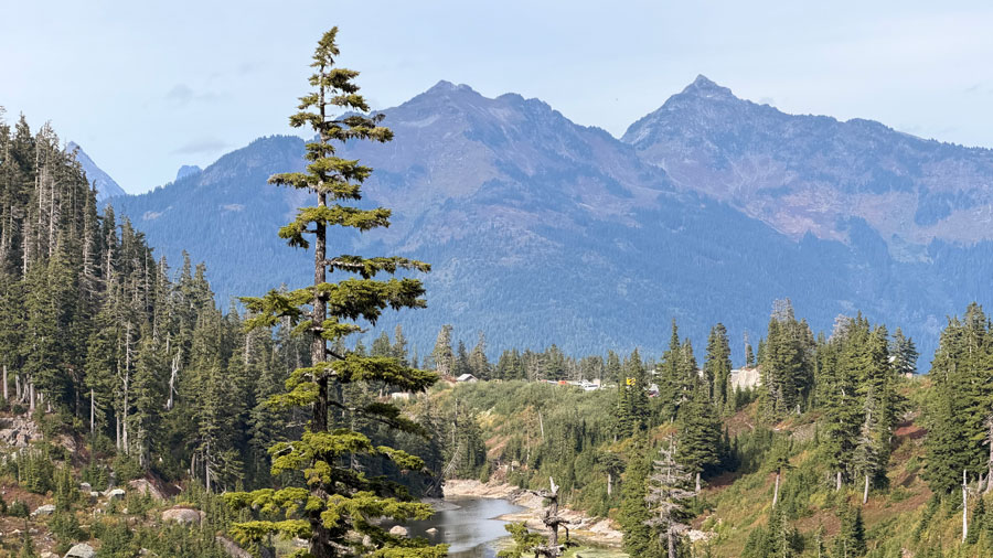 view of mountains and trees on a fall hike around Bagley Lakes