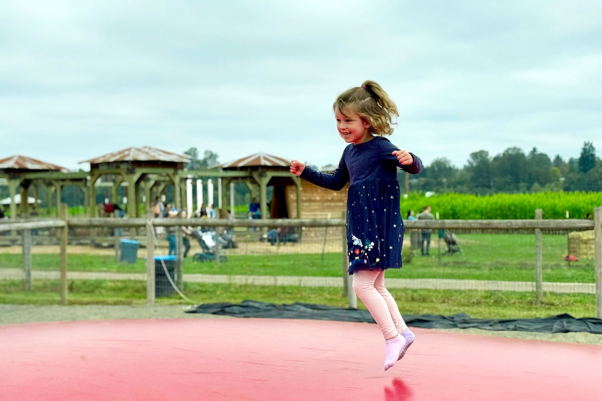young child on a jumping pillow at Swans Trail Farms Fall Festival near Seattle