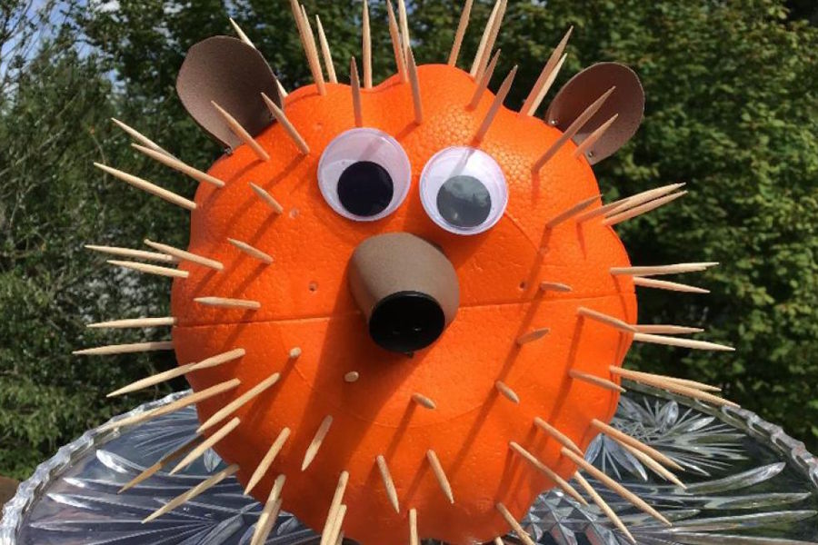 Pumpkin decorated to look like a hedgehog