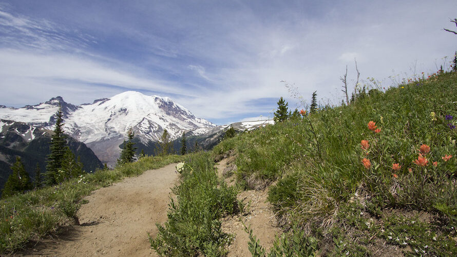 Silver Forest Trail 