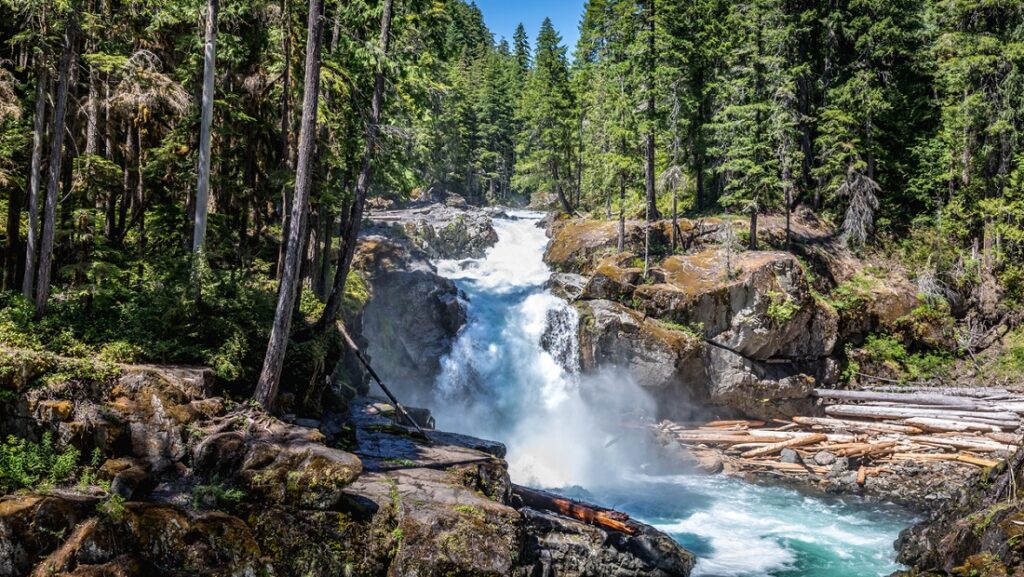 Silver Falls at Mount Rainier easy Rainier hike for families with kids from Seattle and Western Washington