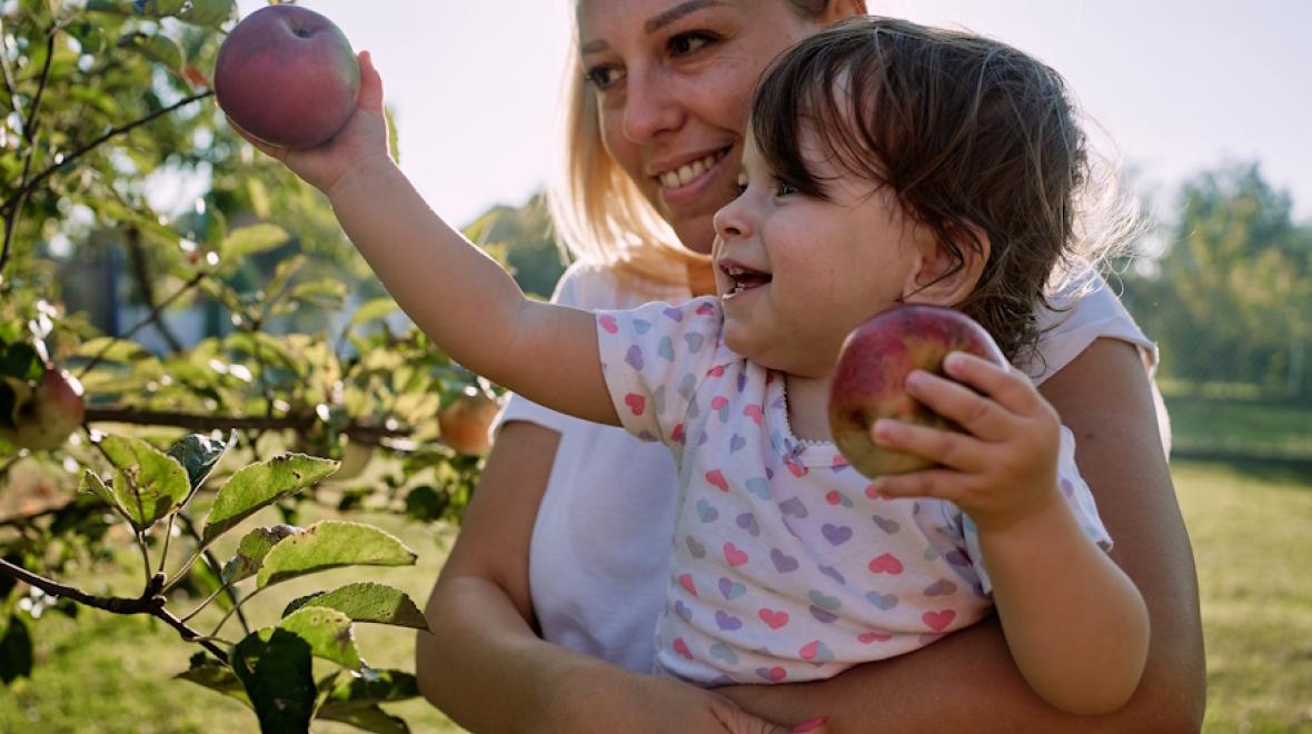 Mom holding a baby picking apples in Washington