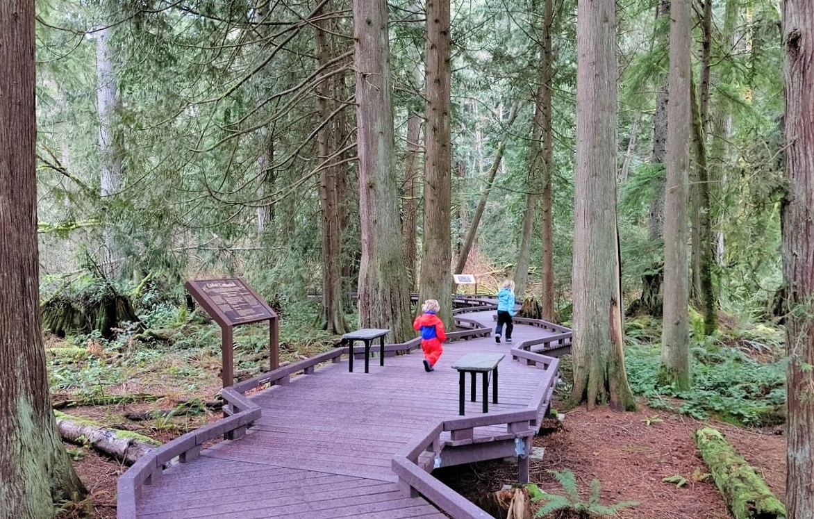 Kids walking on the boardwalk at Northwest Stream Center fun toddler outings while big kids are at school