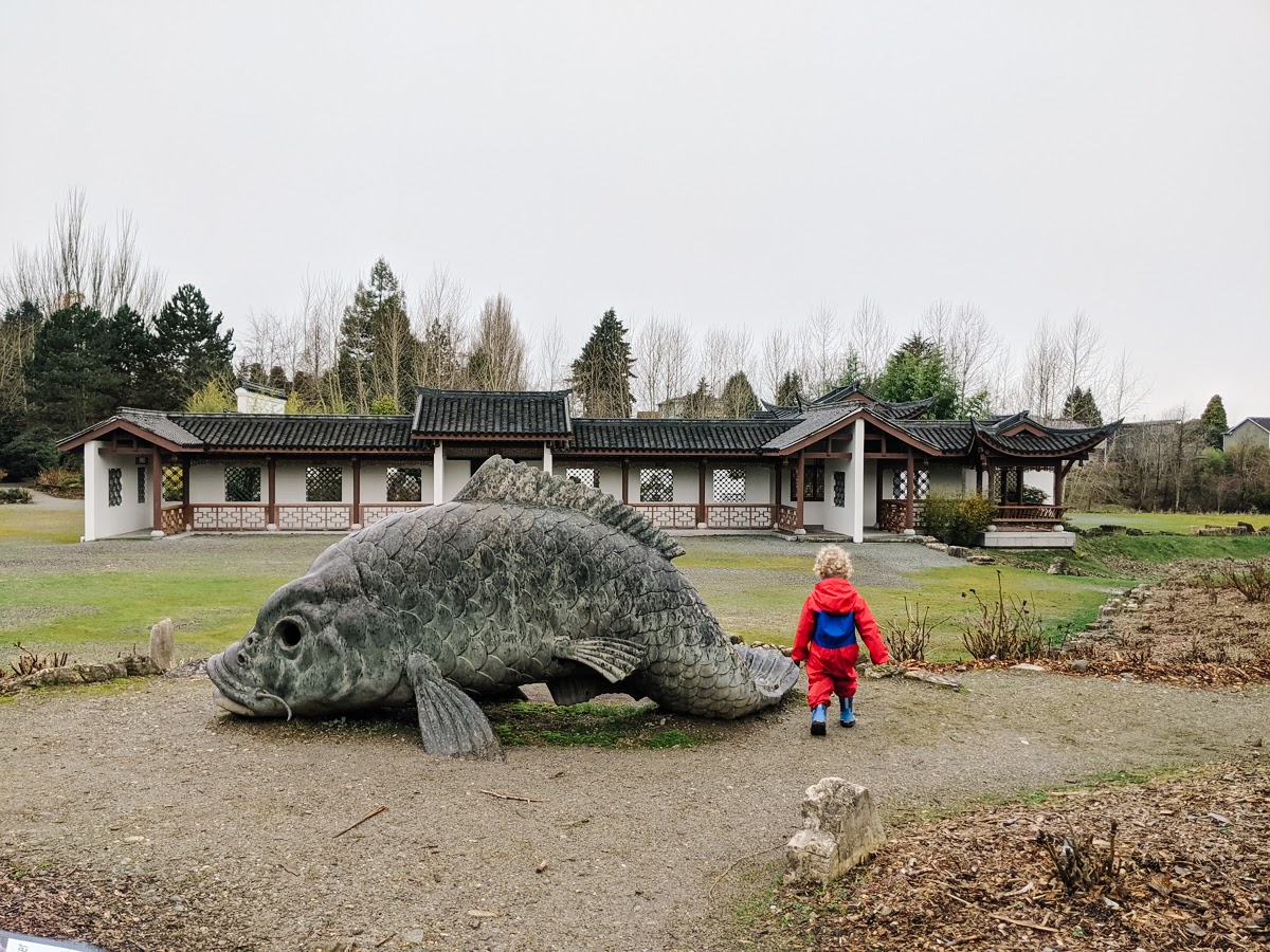 kid walking toward a large fish sculpture at the Seattle Chinese Garden