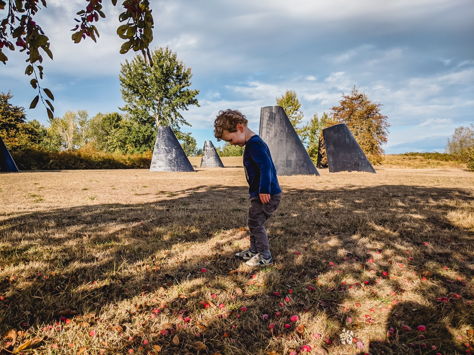 Boy looks down at crab apples at Magnuson Park; orca fin sculptures are in the background