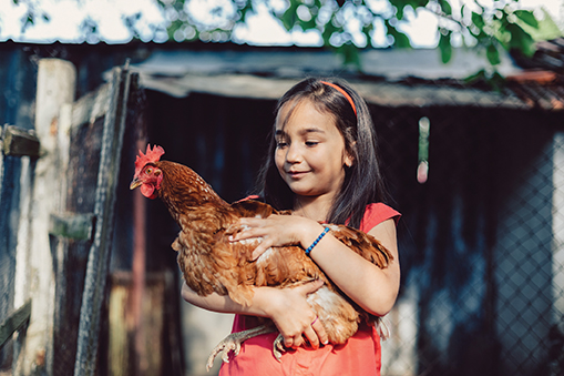 Cute young girl holding a brown hen
