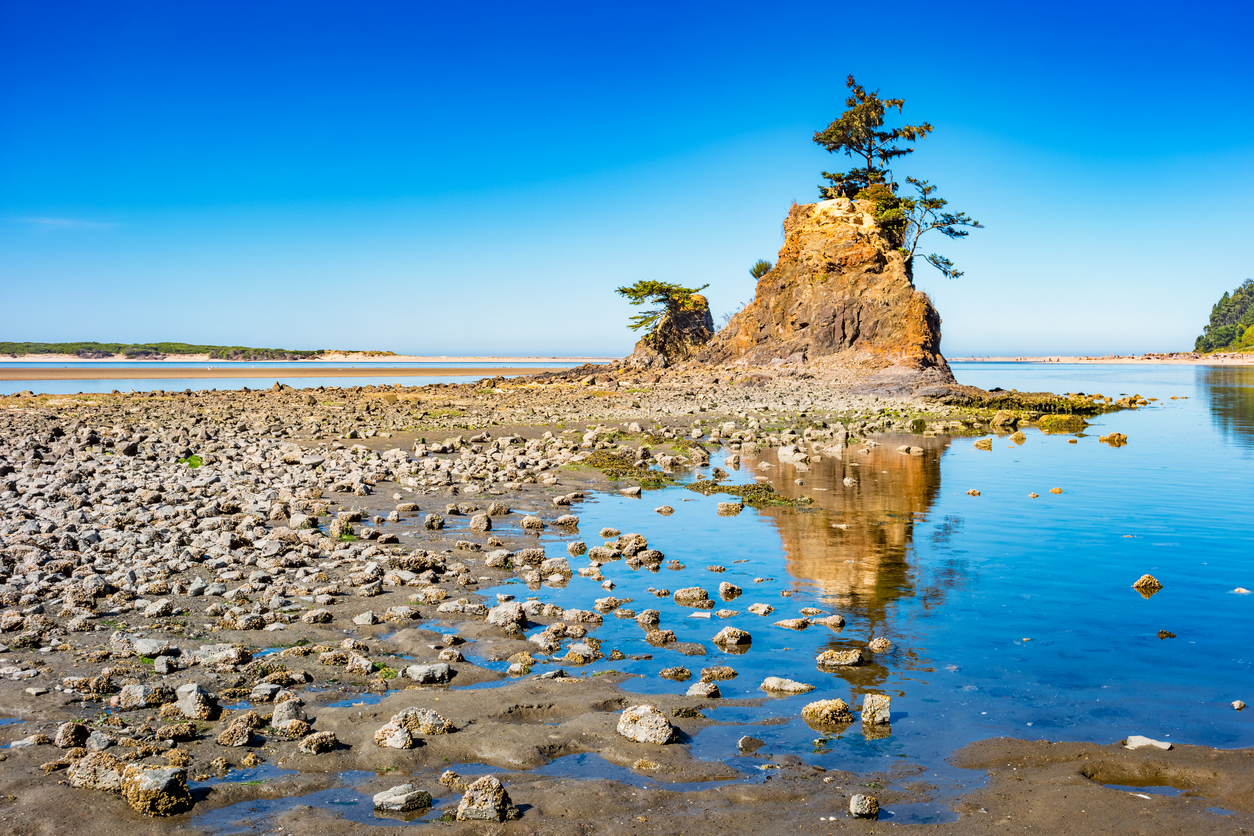 the beach at Lincoln City, Oregon, a popular Pacific Northwest road trip destination for Seattle families