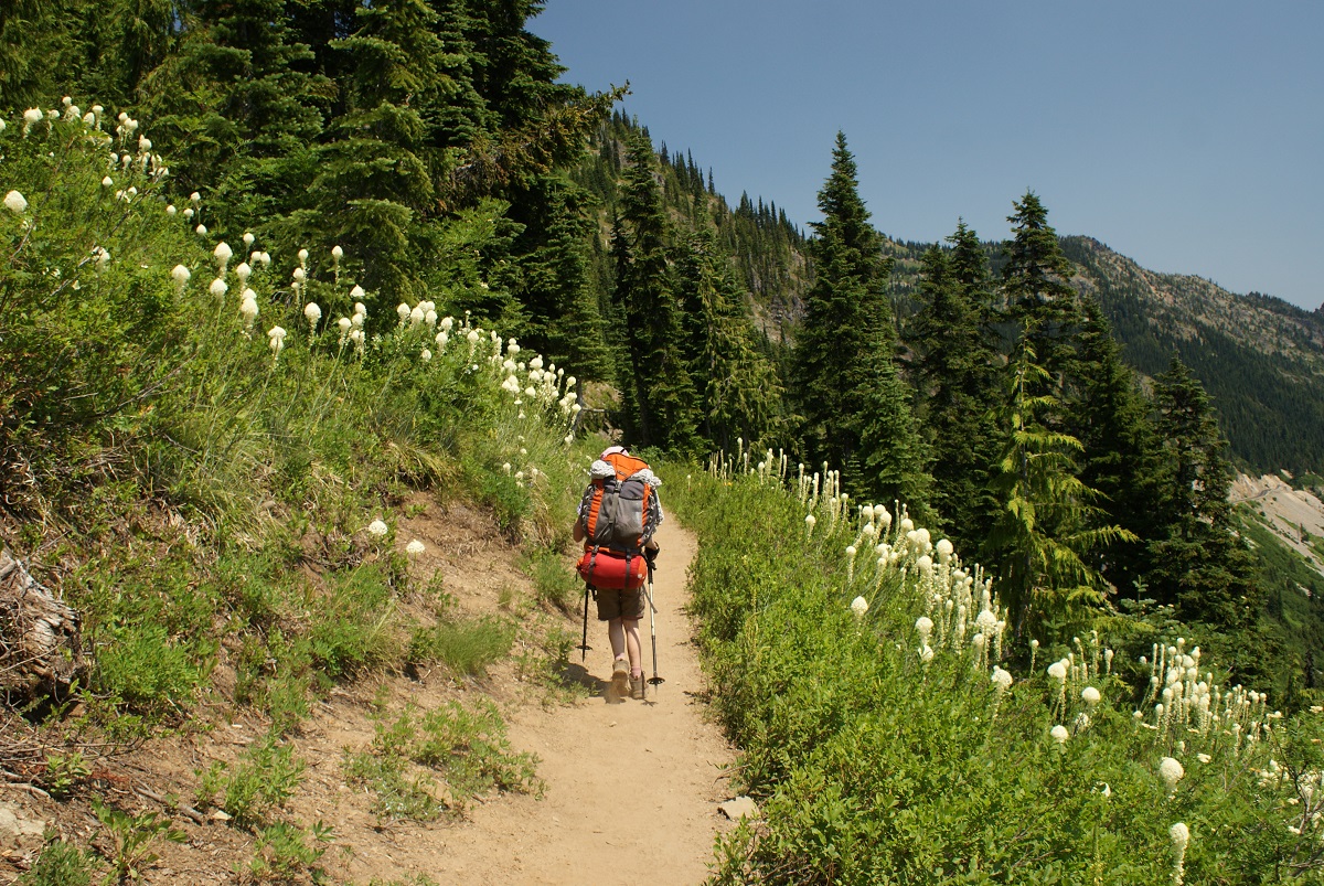 A kid hiker along the trail to Sheep lake near Mount Rainier best wildflower hikes for Seattle families