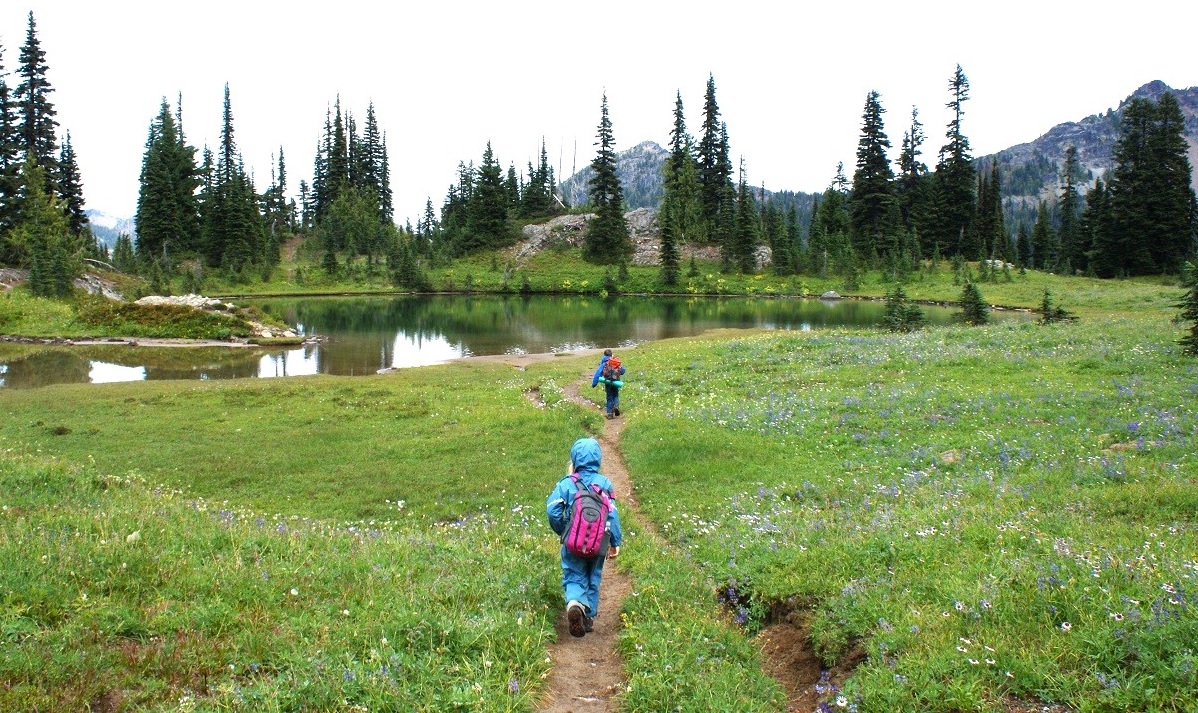 Kids hiking toward a lake through a meadow on the Naches Peak Loop