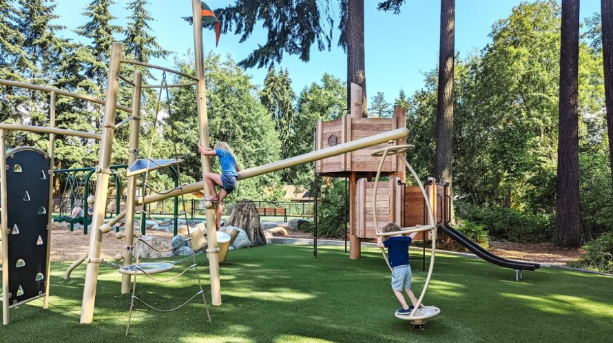 South Lynnwood park climber