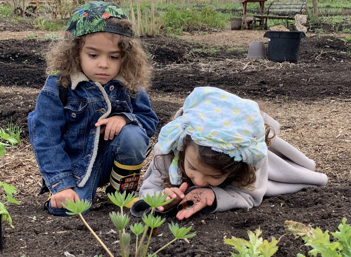 Kids inspect plantings in the garden at the Bellevue Urban Garden called tBUG among farms for Seattle families to visit