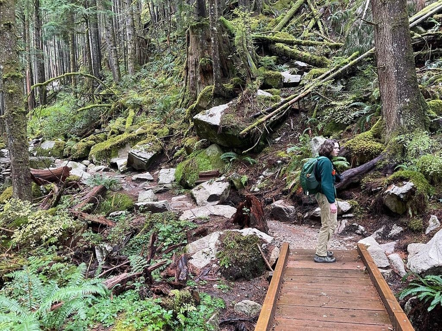 Child standing near a wooden bridge in the forest
