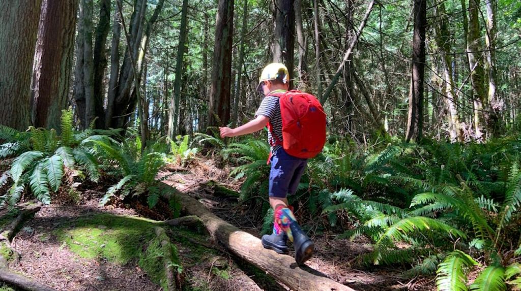 5 Hikes in Kitsap County That Are Perfect for Kids