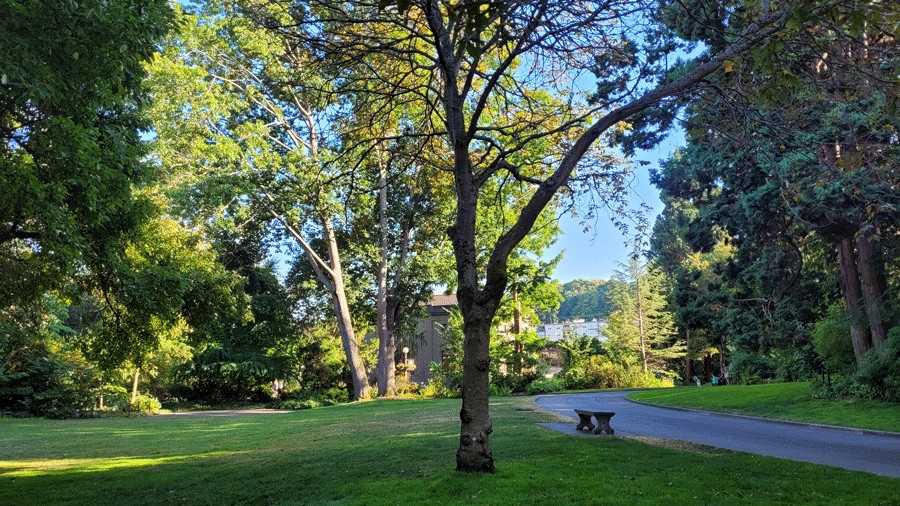 Path at the Ballard Locks and Carl S. English Jr. Botanical Garden, a perfect trail for a spring hike near Seattle