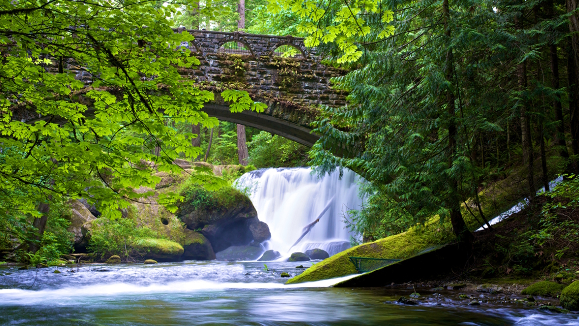 Whatcom Falls in Bellingham
