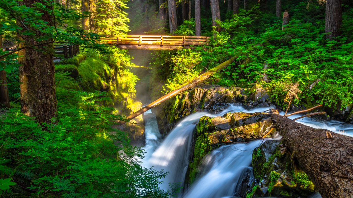 Beautiful Sunrise Hike to Sol Duc Falls in Olympic National Park