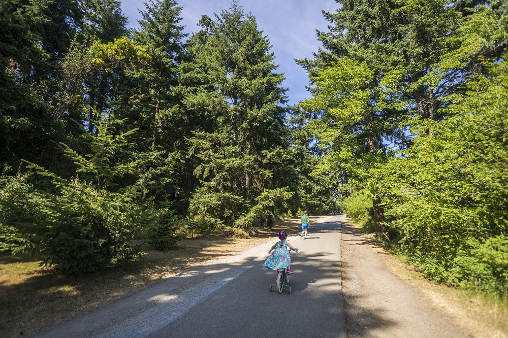 Riding a bike on Seward Park path in Seattle on a sunny day