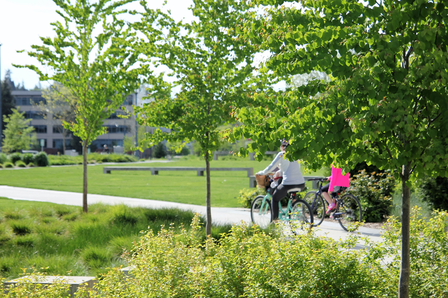 Trees line the path of the Redmond Central Connector bike path.