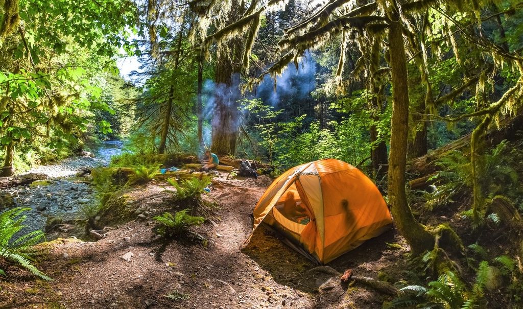 New Campsite Availability Notifications From Washington State Parks