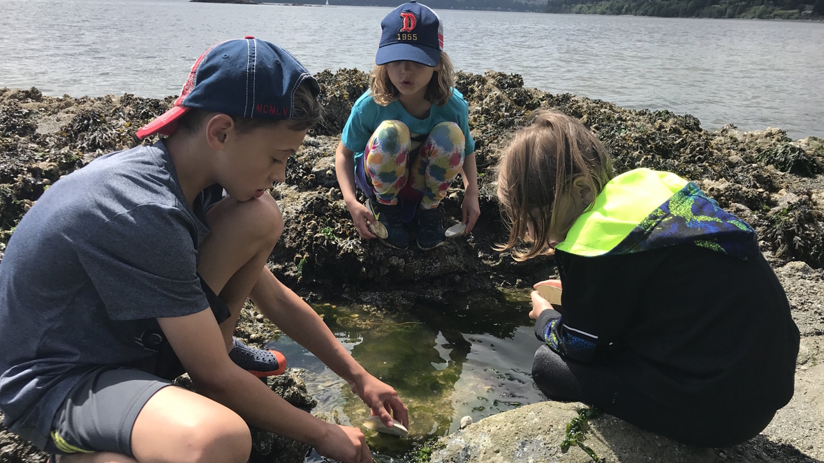 kids at a tide pool looking at creatures