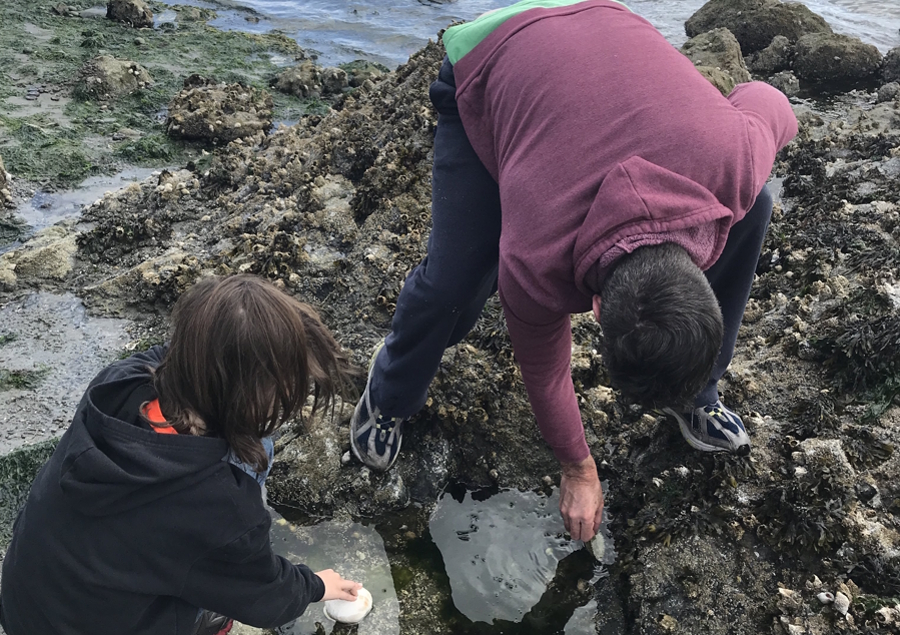 dad and son looking at tide pools in Washington state