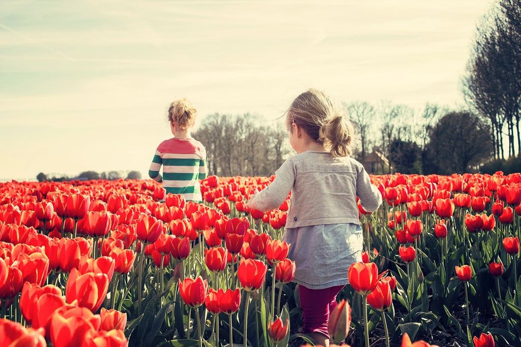 Insider’s Guide to the Skagit Valley Tulip Festival With Kids