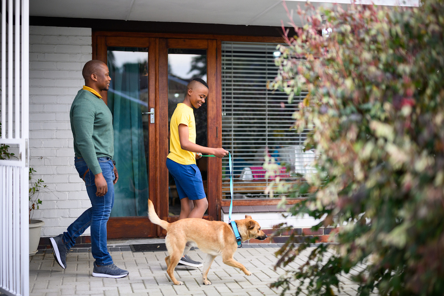 dad and son walking their dog