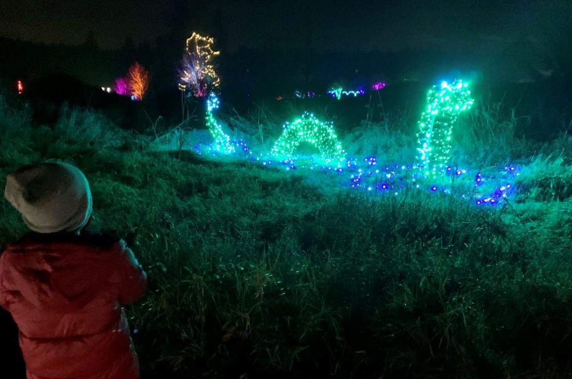 Display at Dazzle light show credit: Devon Hammer