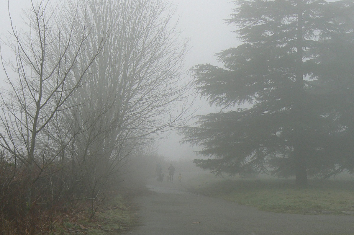 Foggy scene with family walking amid the trees in Seattle's Discovery Park best places to see stormy weather with kids