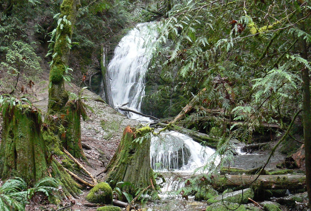 Coal Creek Falls in Bellevue best places to experience stormy rainy windy winter weather with kids near Seattle