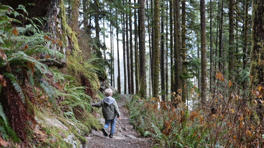 young boy hiking on the trail at Middle Fork, a fun outdoor activity for Seattle families during winter break