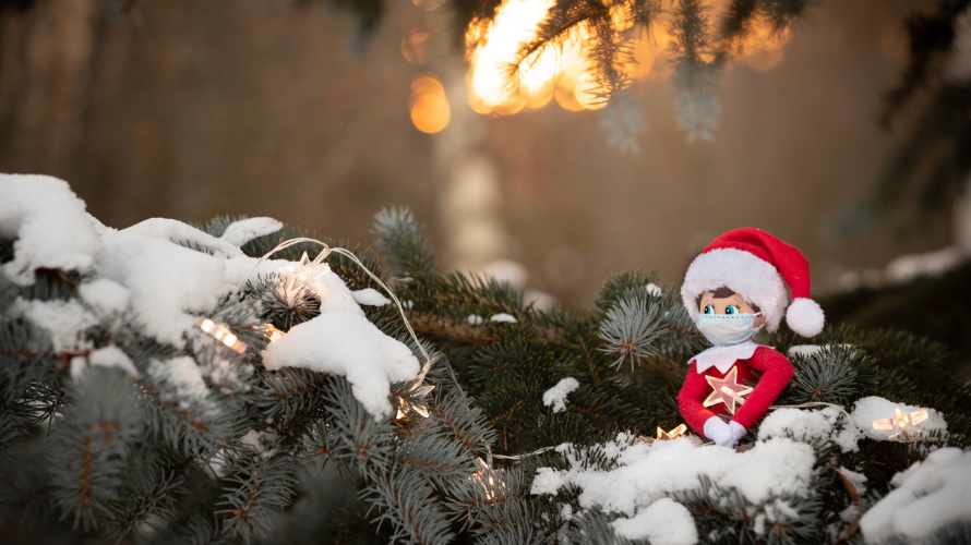 8 Elf on the Shelf Ideas That Are Simple and Genius