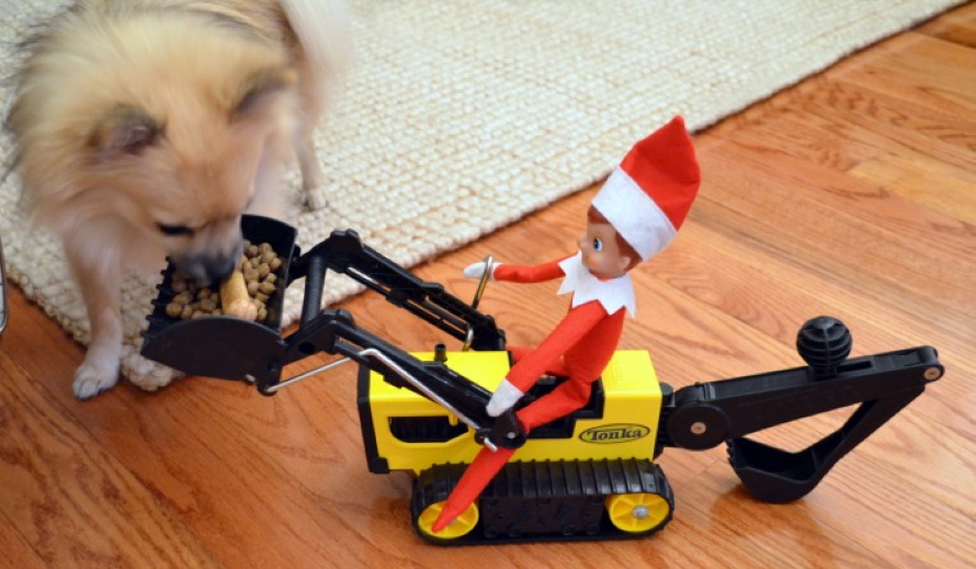 elf-on-a-backhoe