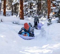 Sleding on SnowCandy penguin best snow toys