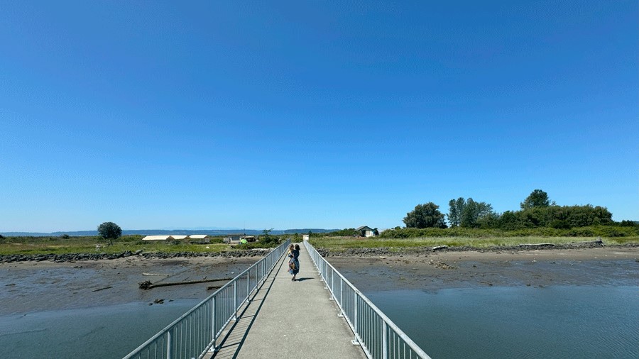 A mom and daughter walking from the Jetty Island ferry to the check-in stand on the island for the return ferry