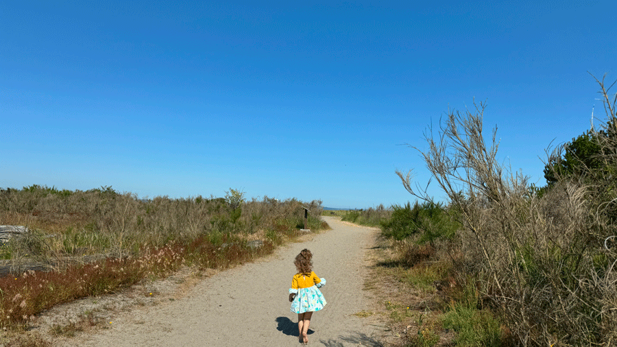 Young girl follows the sandy path from the Jetty Island ferry to Jerry Island beach, the longest sandy beach in Puget Sound