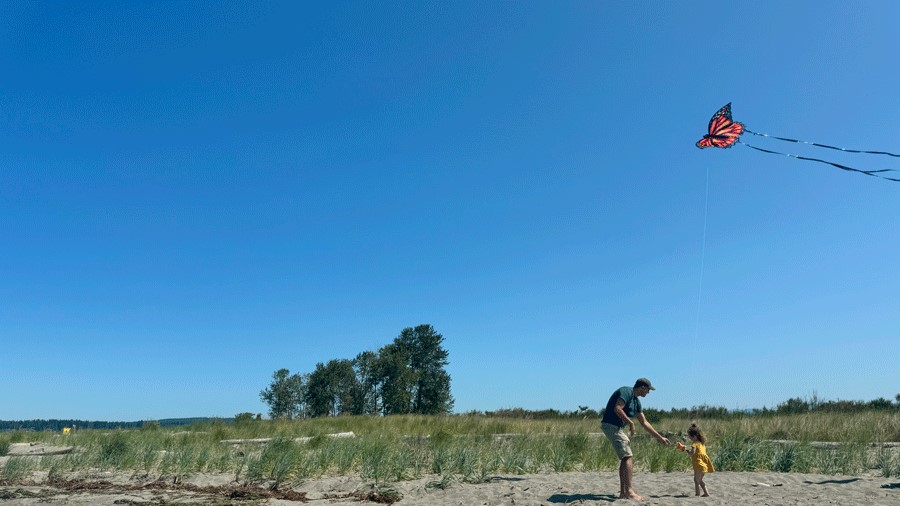 Father and young daughter flying a butterfly kite on Jetty Island on a summer day