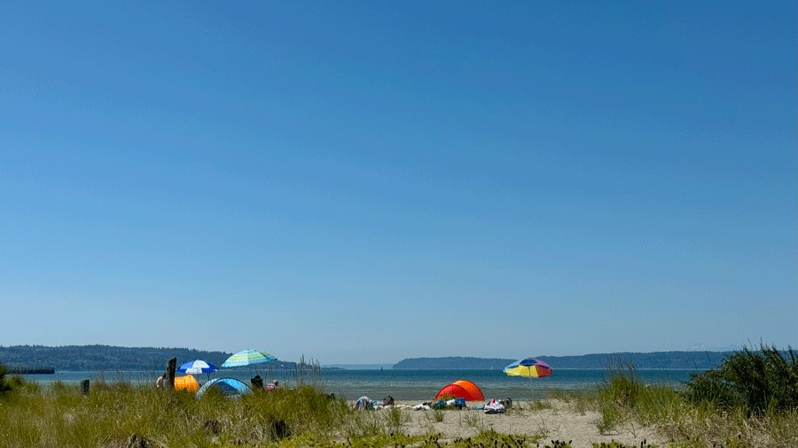 A beach umbrella is just one of the things you should bring to Jetty Island for your summer beach day