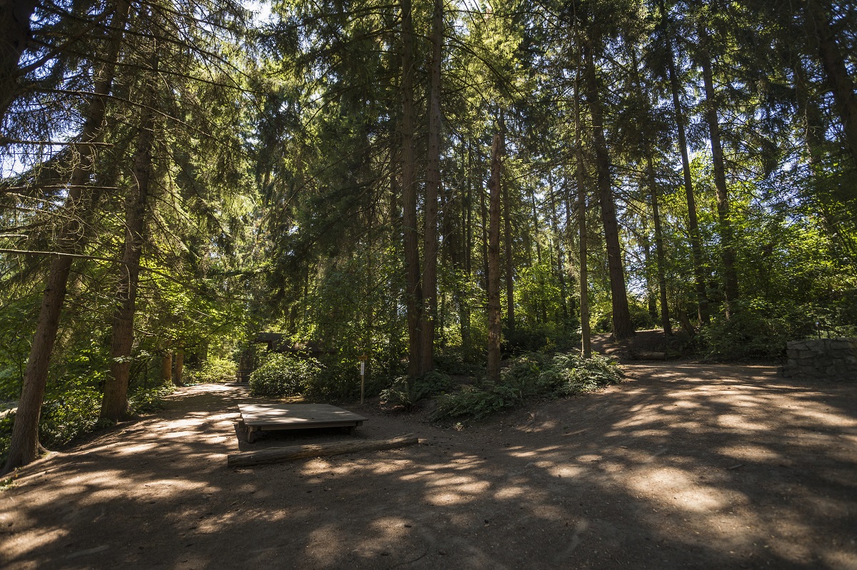 Camp Long trails and tree covering invite exploration on rainy days