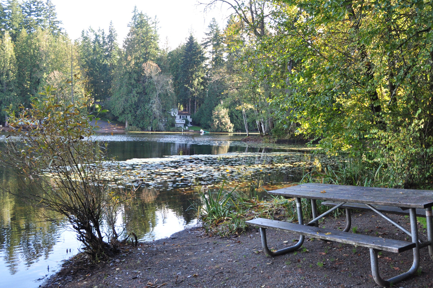 Beaver Lake Park best sammamish eastside seattle-area playgrounds for rainy days play