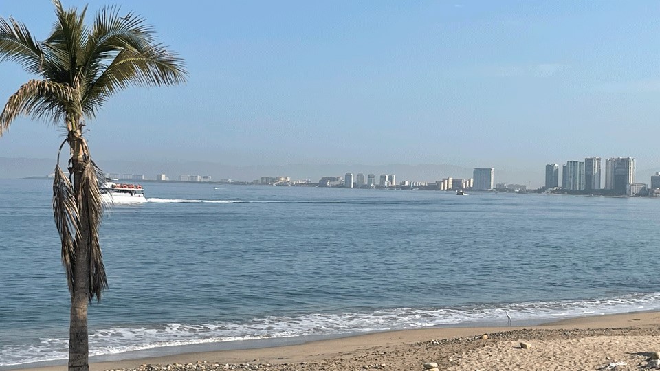 Puerto vallarta beaches are a great thing to do when traveling with kids