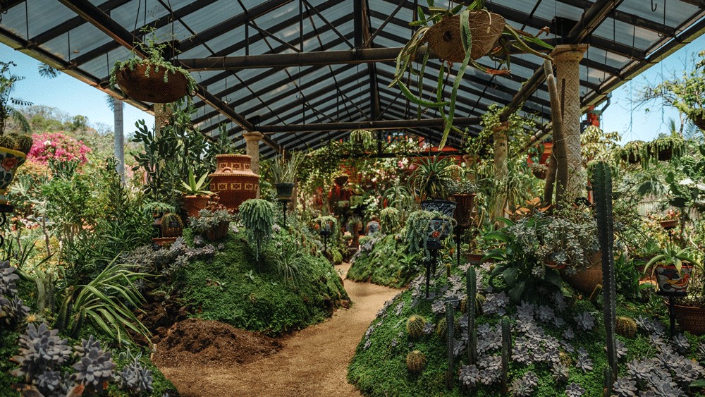 Plants under a protected covering line the walkways of Vallarta Botanical Gardens