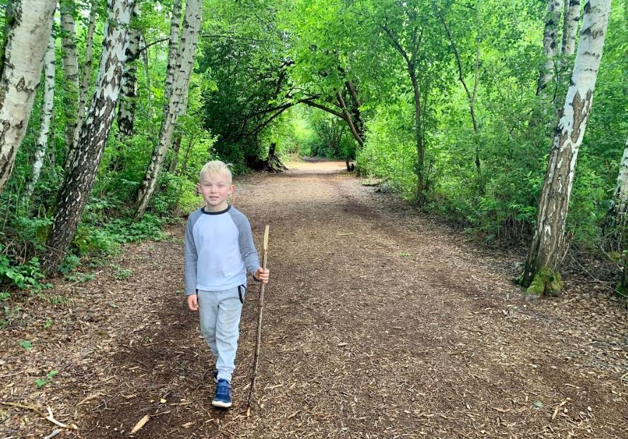 5 Kid-Friendly Hikes With Wider Trails for Seattle-Area Families