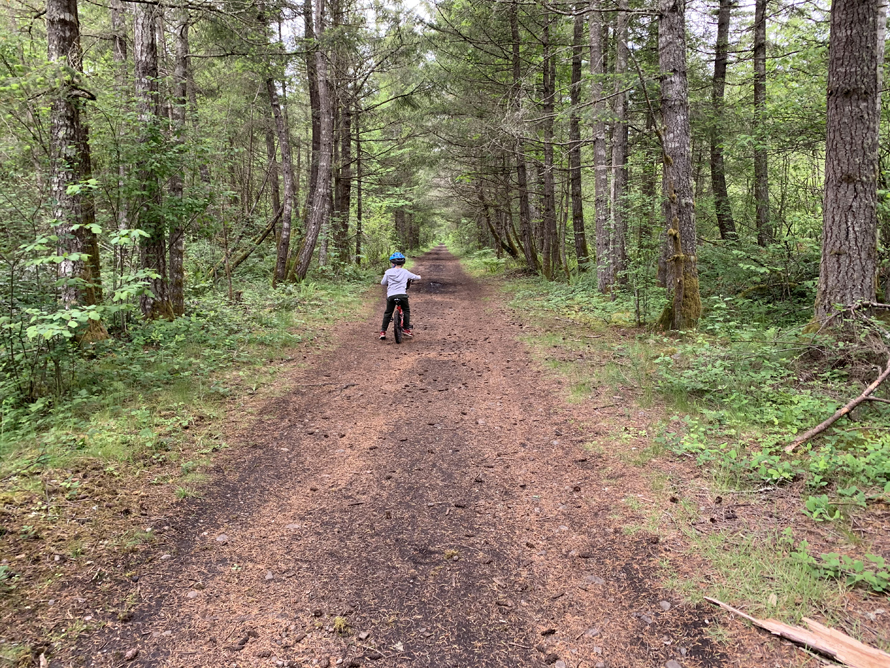Green to Cedar Rivers Trail