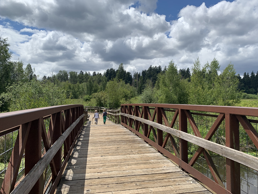 Mercer Slough Nature Park Trails